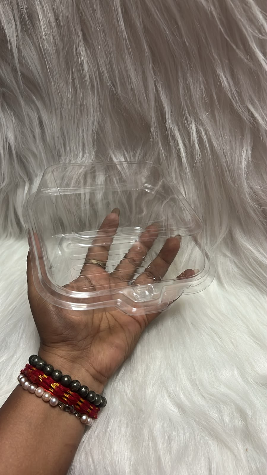 Transparent Bento Cake Box - 5 Inch Food Grade Clamshell
