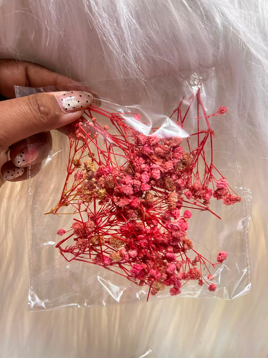 Dried Baby's Breath - Preserved Gypsophila for Cakes, Resin & Craft