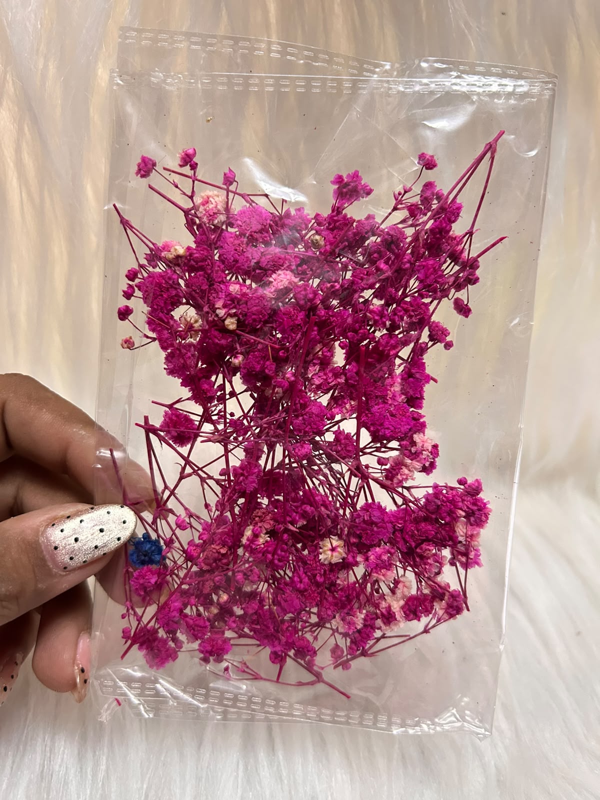 Dried Baby's Breath - Preserved Gypsophila for Cakes, Resin & Craft