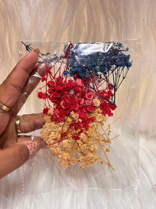 Dried Baby's Breath Mix Pack - Multi Colour Preserved Gypsophila