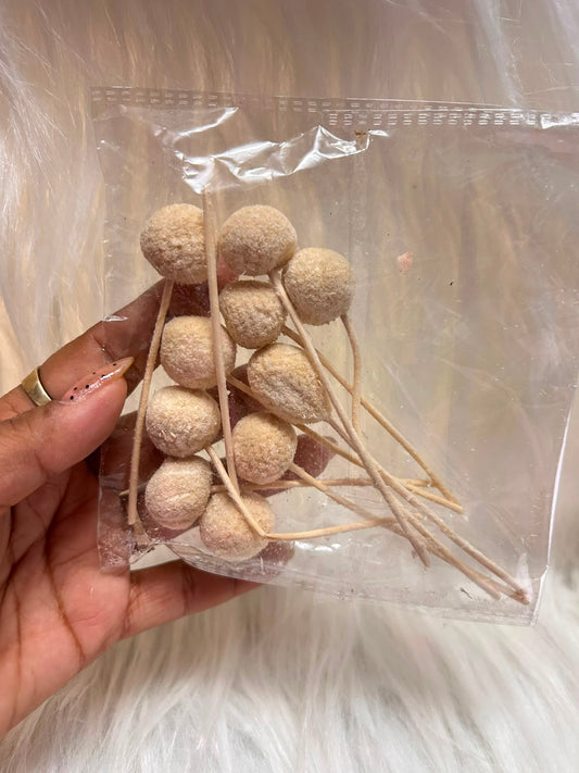Dried Craspedia (Billy Buttons) - Pack of 10 Stems, Natural