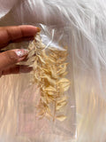 Dried Ruscus Leaves - Preserved Foliage Sprays for Cakes & Craft
