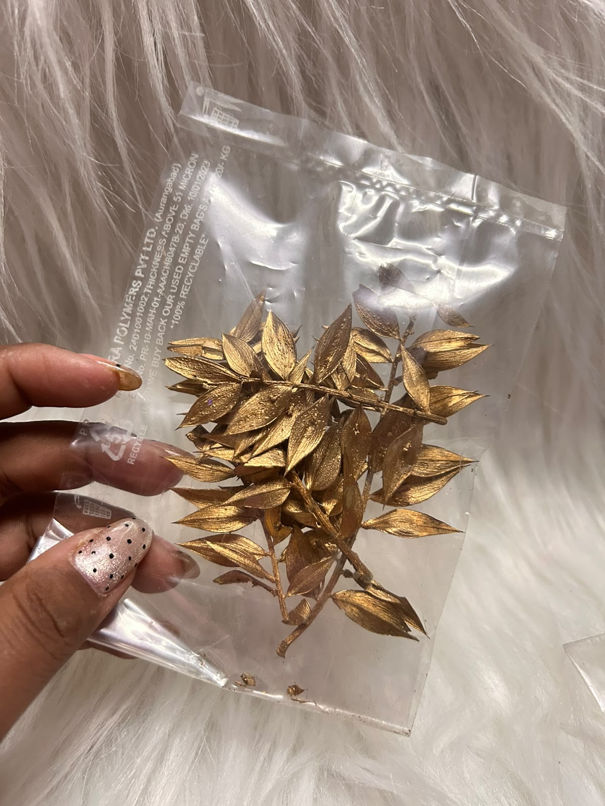 Dried Ruscus Leaves - Preserved Foliage Sprays for Cakes & Craft