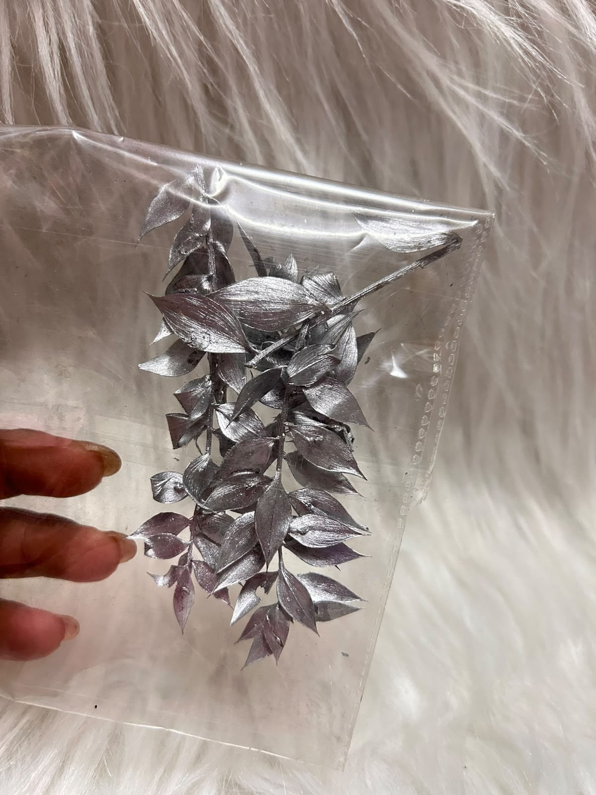 Dried Ruscus Leaves - Preserved Foliage Sprays for Cakes & Craft