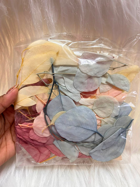 Dried Eucalyptus Leaves - Preserved Foliage Pack, Pastel Shades