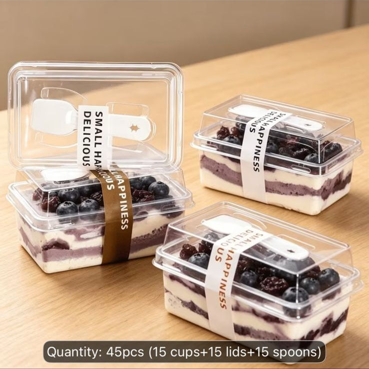 PVC Rectangular Dessert Container with Spoon and Lid - 250 ml Transparent Box