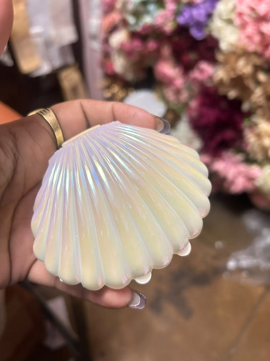Pearl Shell Cake Topper - Openable Seashell Box 4.5 x 3.5 inch