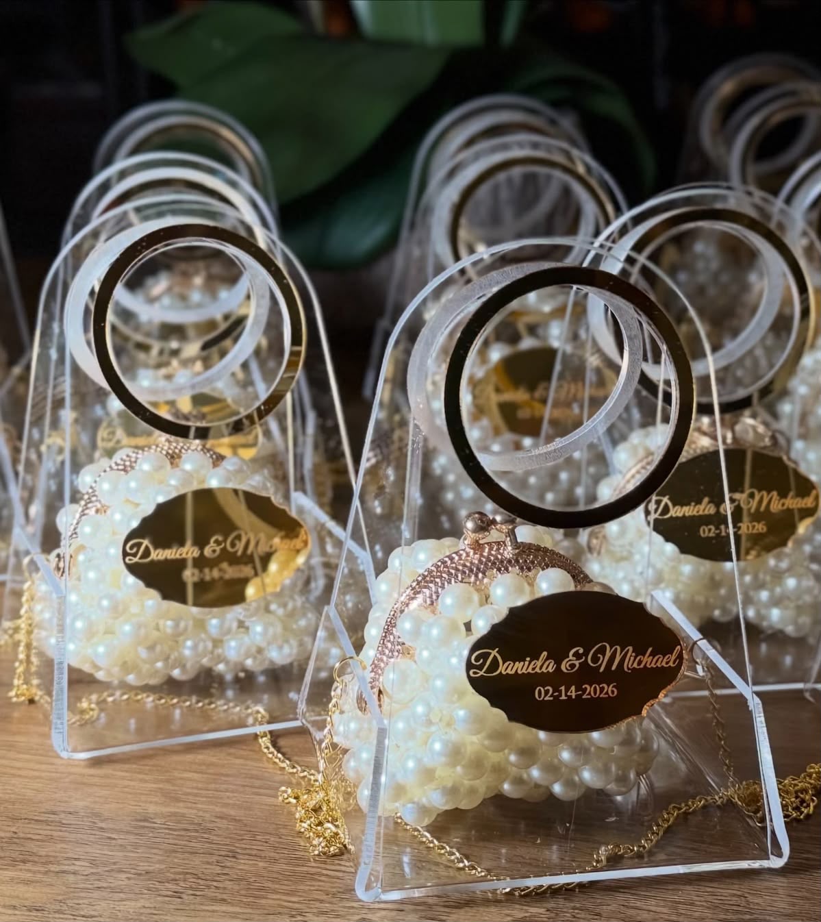 Acrylic Coin Bag - Clear Gift Bag with Gold Ring Handle (3 x 4 x 2 inch)