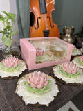 4 Cupcake & Brownie Box with Wrap-Around Window - 7 x 7 x 3.5 inch (Pack of 10)