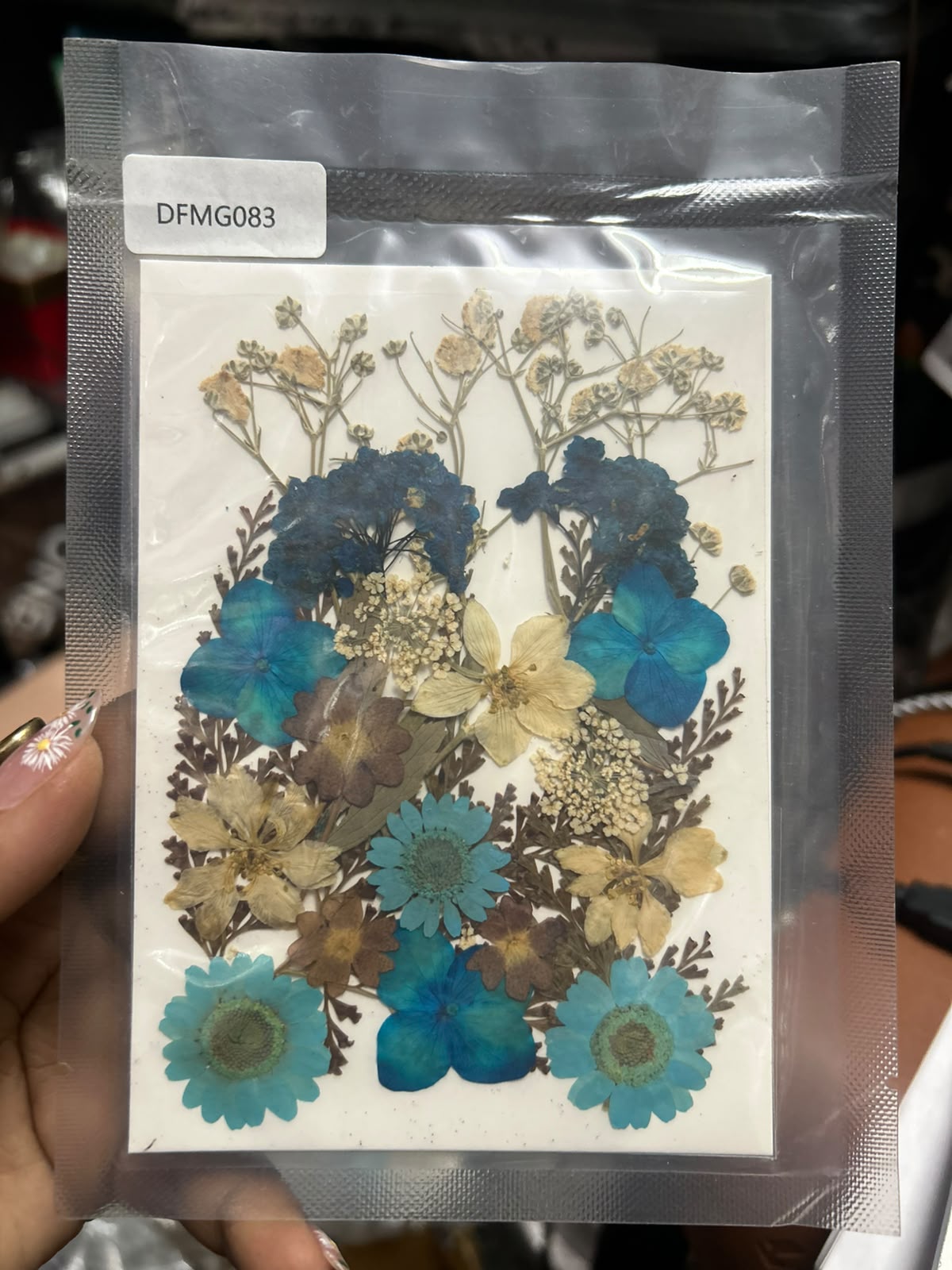 Pressed Dry Flowers for Cake Decoration and Resin Art - Mixed Flower Pack