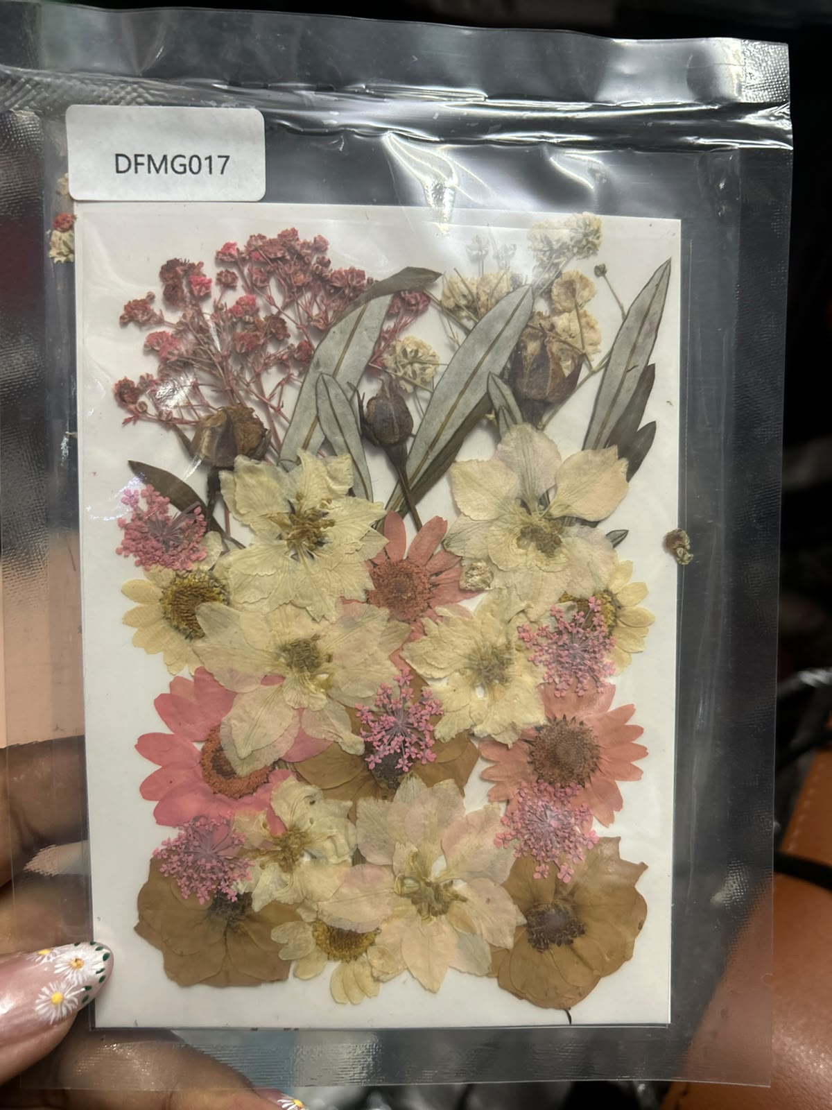 Pressed Dry Flowers for Cake Decoration and Resin Art - Mixed Flower Pack