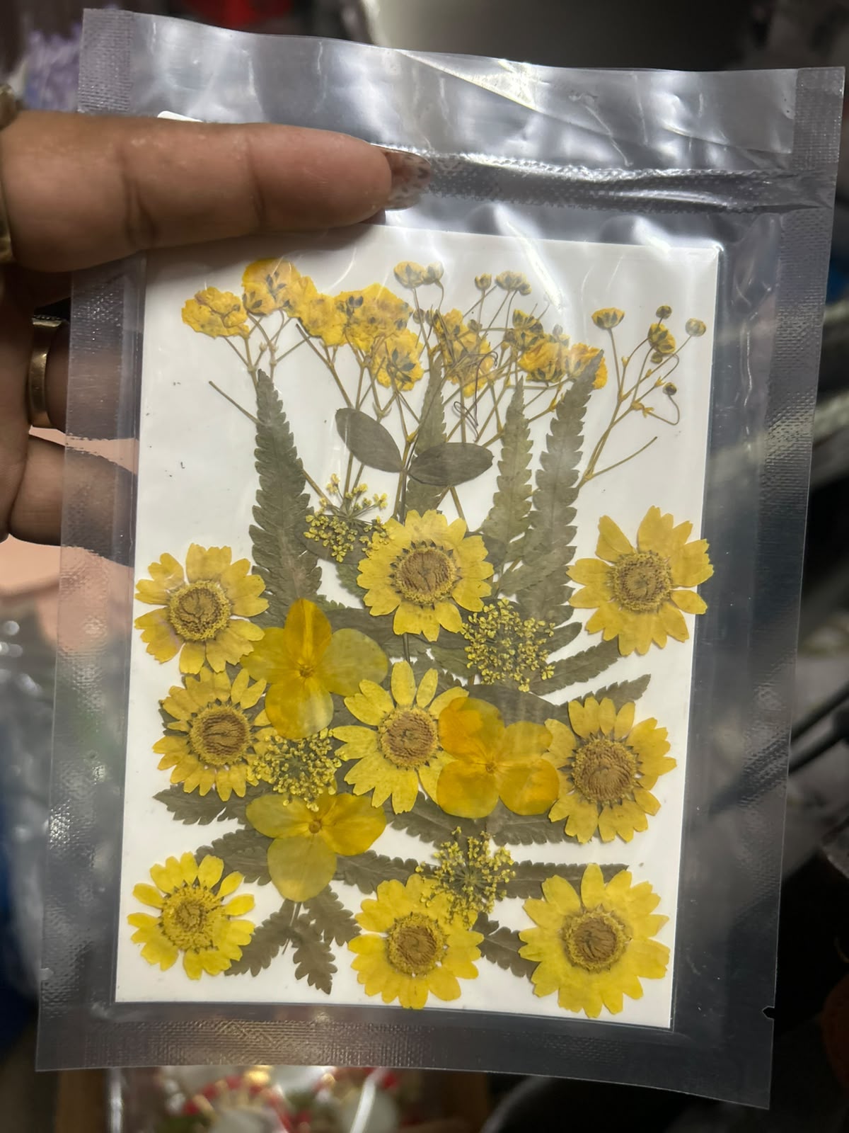 Pressed Dry Flowers for Cake Decoration and Resin Art - Mixed Flower Pack