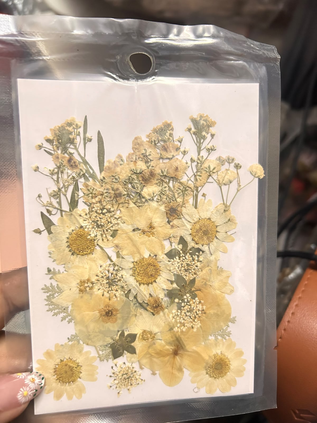 Pressed Dry Flowers for Cake Decoration and Resin Art - Mixed Flower Pack
