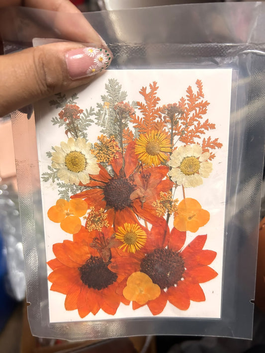 Pressed Dry Flowers for Cake Decoration and Resin Art - Mixed Flower Pack